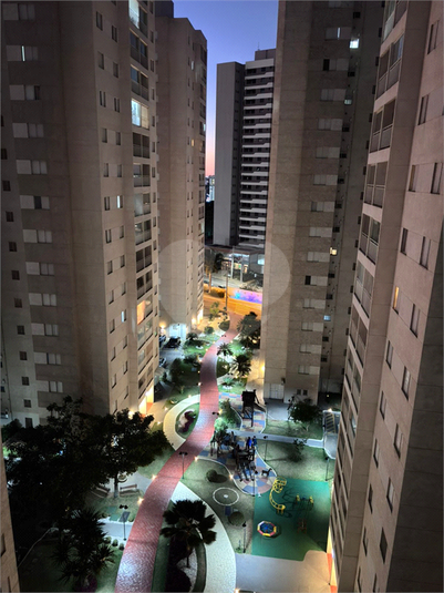 Foto REO1118755