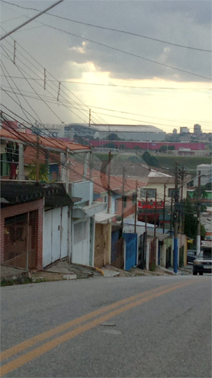 Foto REO1118787