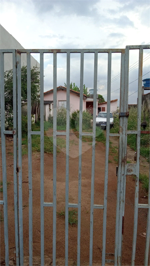 Foto REO1118787