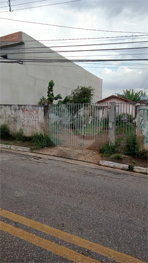 Foto REO1118787
