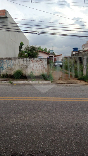 Foto REO1118787