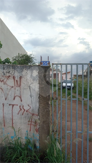 Foto REO1118787