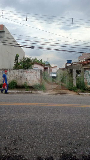 Foto REO1118787