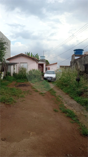 Foto REO1118787