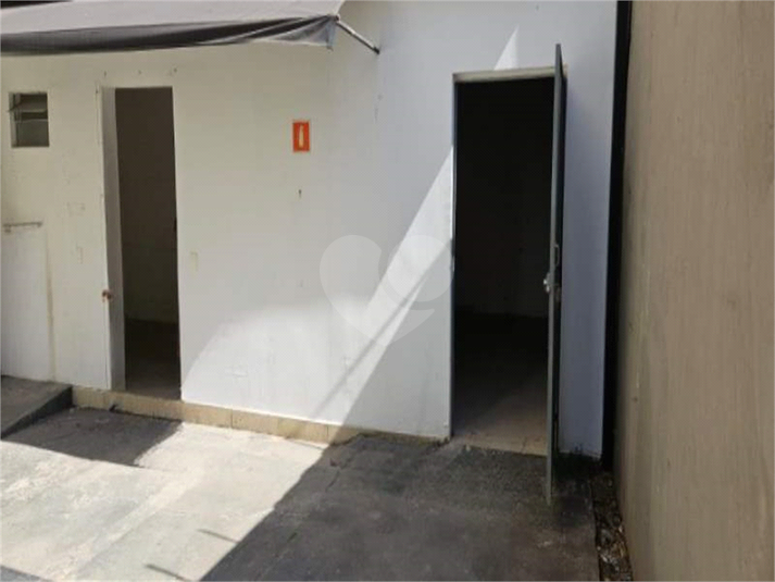 Foto REO1118788