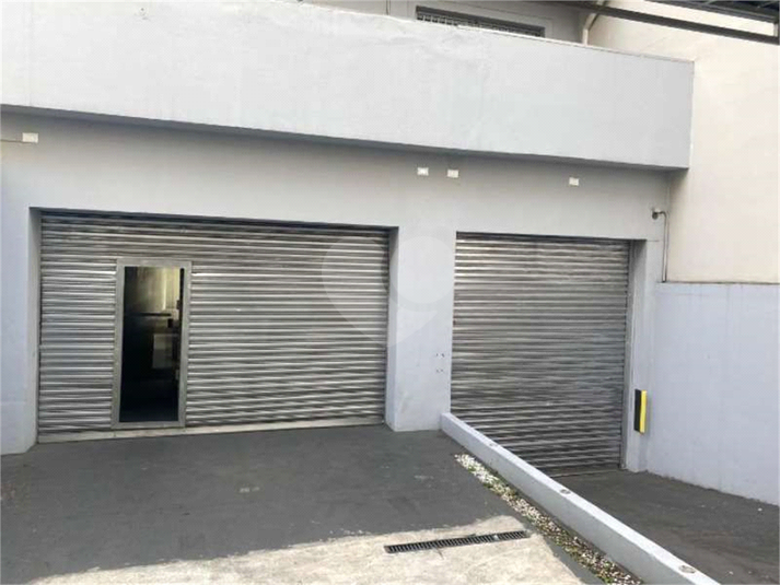 Foto REO1118788