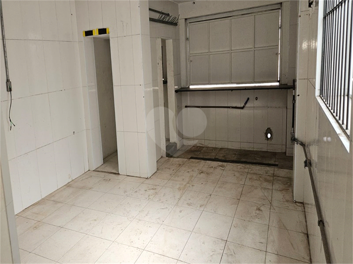 Foto REO1118788