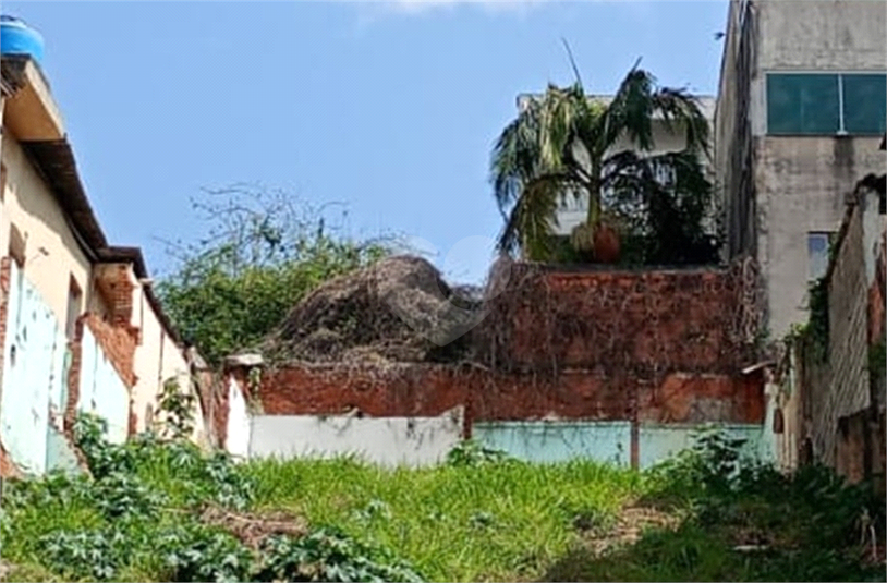 Foto REO1118793