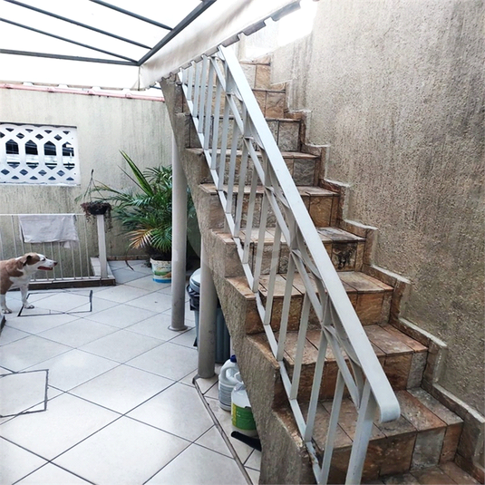 Foto REO1118796