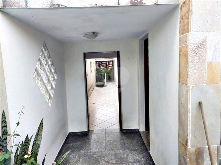 Foto REO1118796