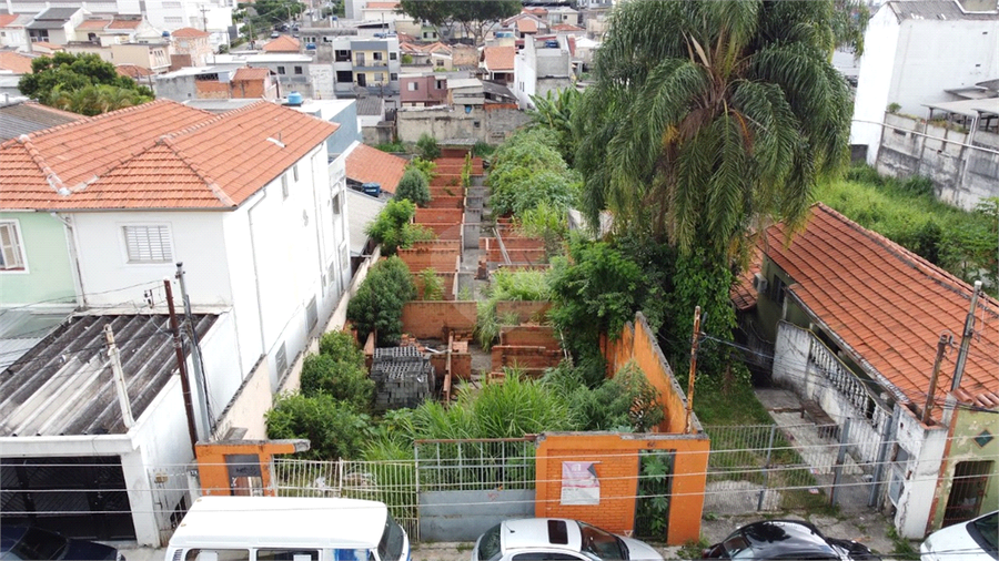 Foto REO1118811