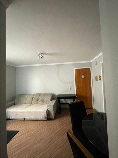 Foto REO1118817