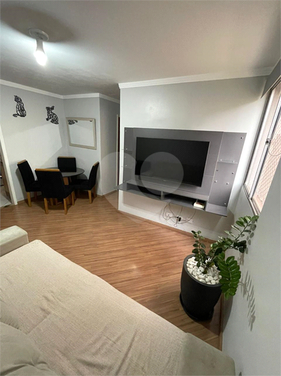 Foto REO1118817