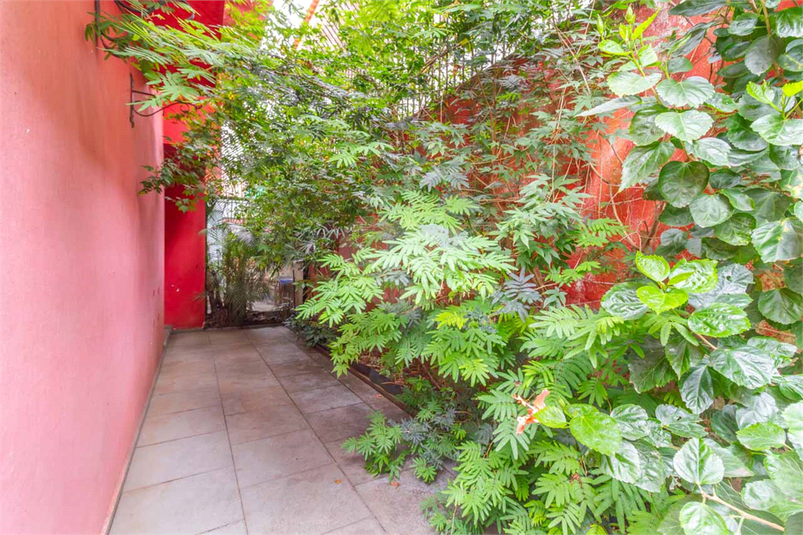 Foto REO1118837