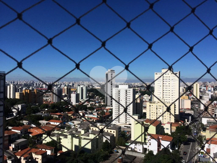 Foto REO1118847