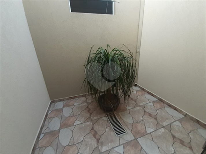 Foto REO1118848