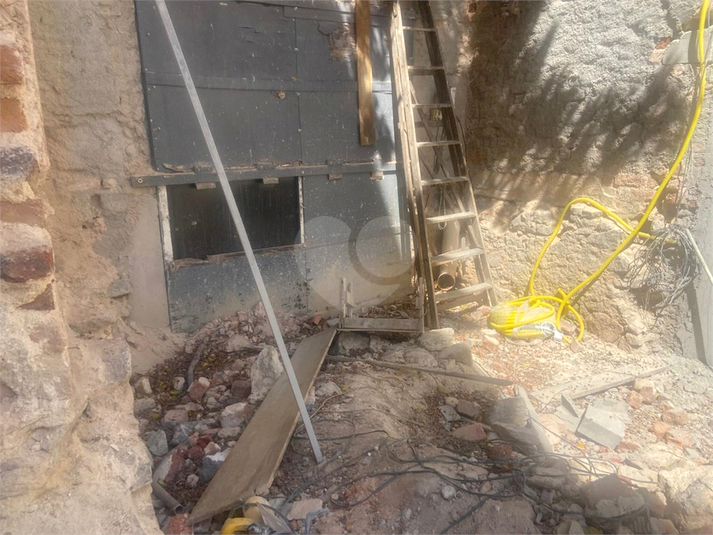 Foto REO1118855