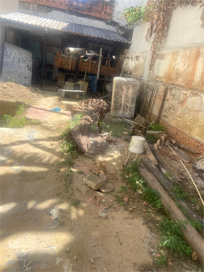 Foto REO1118855