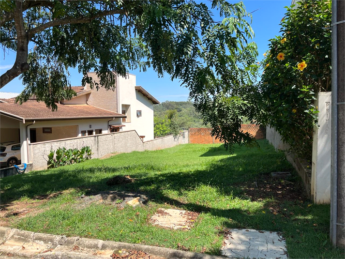 Foto REO1118875