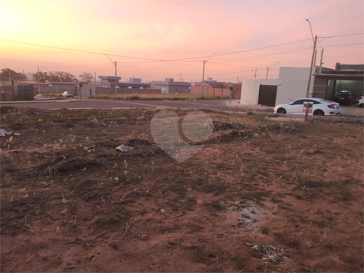 Foto REO1118880