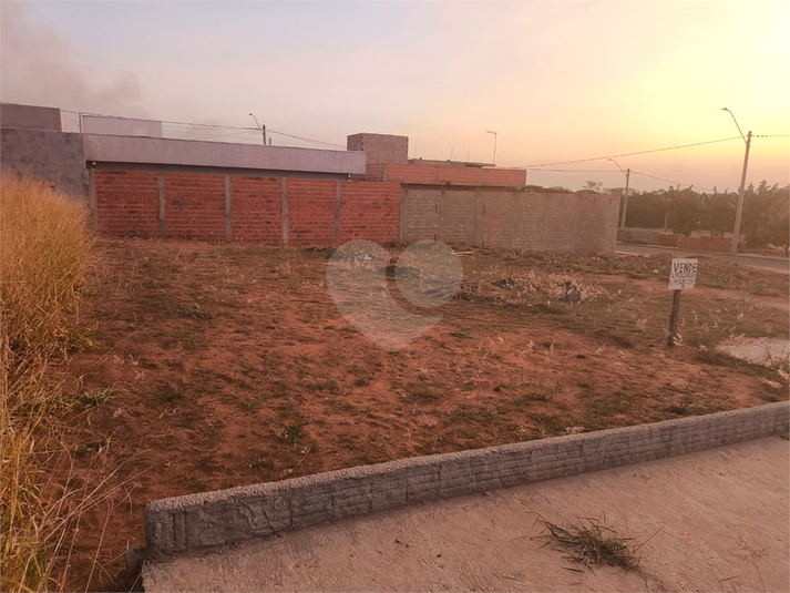 Foto REO1118880