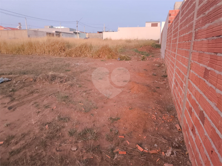 Foto REO1118880