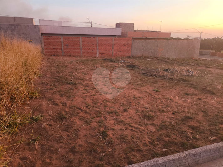 Foto REO1118880