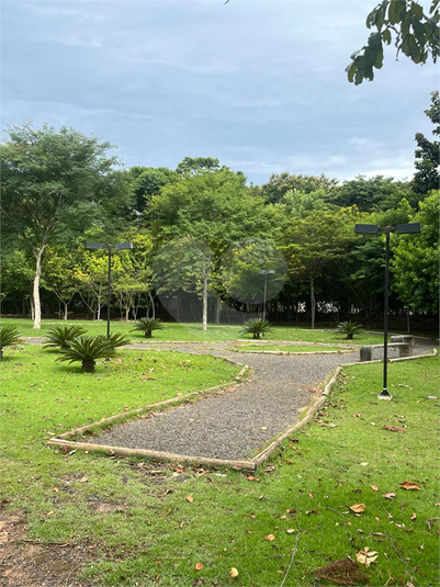 Foto REO1118884