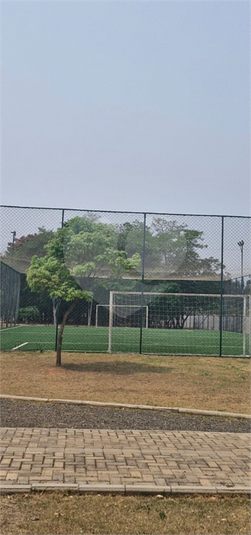 Foto REO1118884