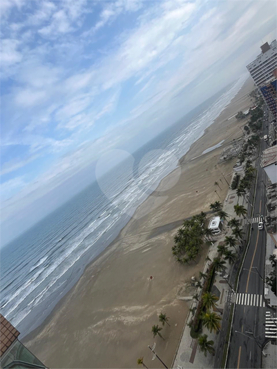 Foto REO1118891