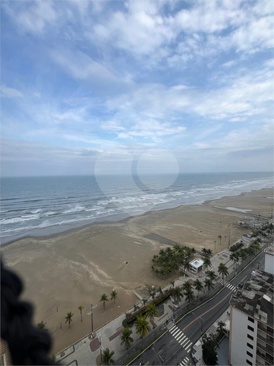 Foto REO1118891