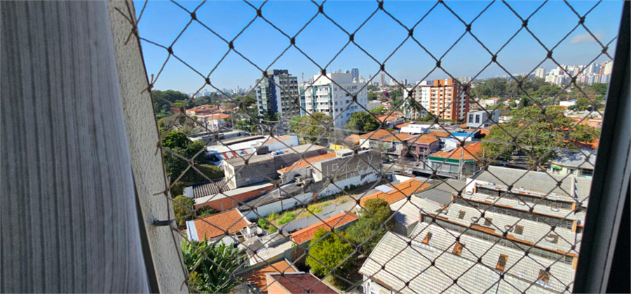 Foto REO1118892