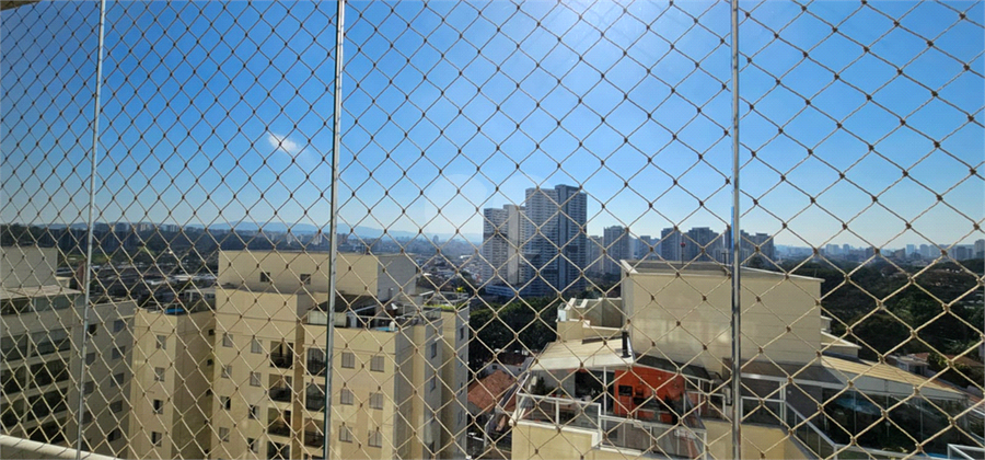 Foto REO1118892