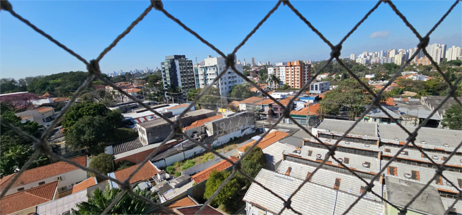 Foto REO1118892