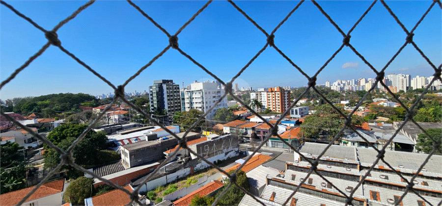 Foto REO1118892