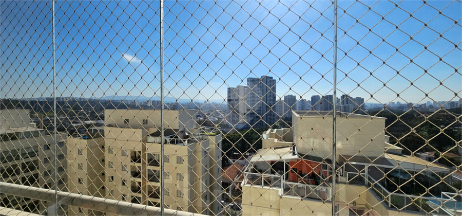 Foto REO1118892