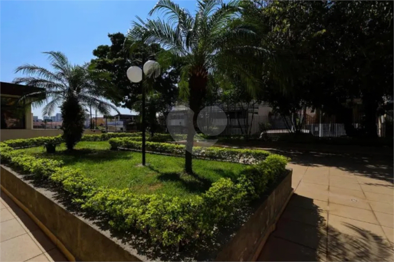 Foto REO1118897
