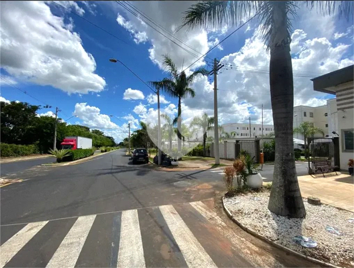 Foto REO1118901