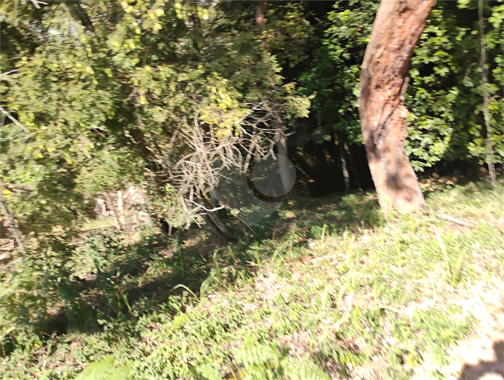 Foto REO1118912
