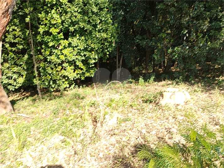 Foto REO1118912
