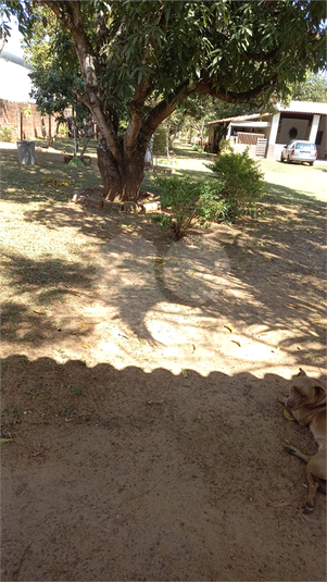 Foto REO1118915