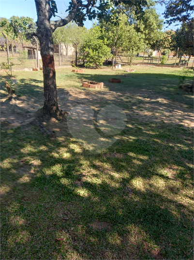 Foto REO1118915