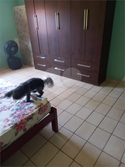 Foto REO1118915