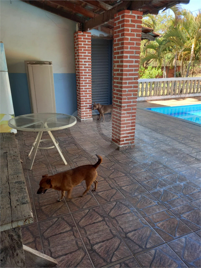 Foto REO1118915