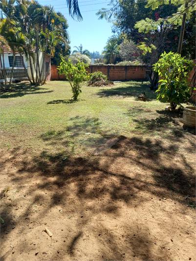 Foto REO1118915
