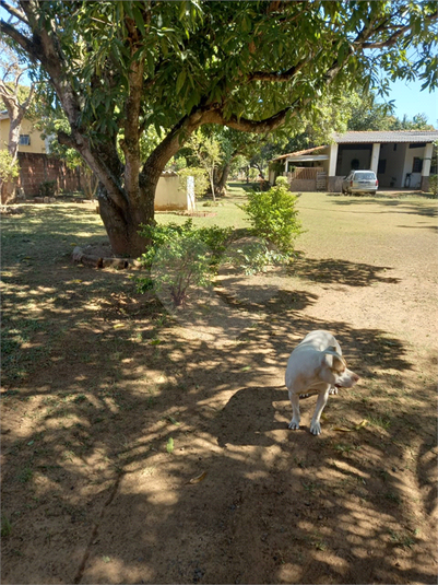 Foto REO1118915