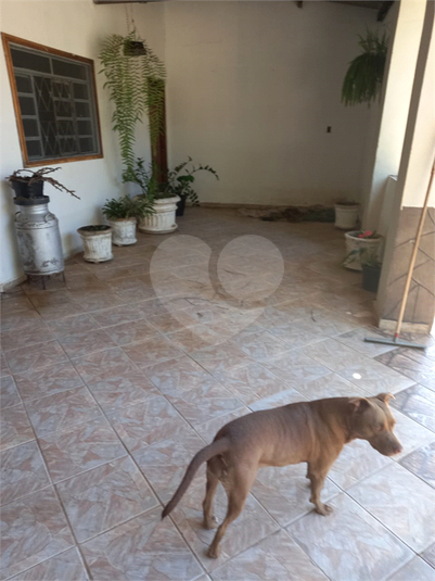 Foto REO1118915