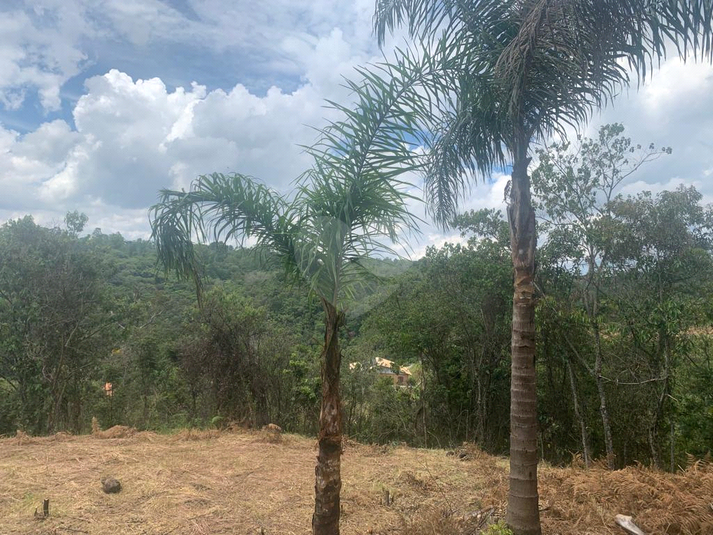Foto REO1118917