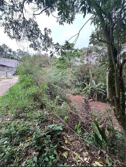 Foto REO1118917