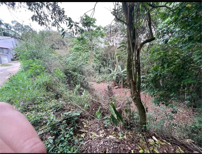 Foto REO1118917